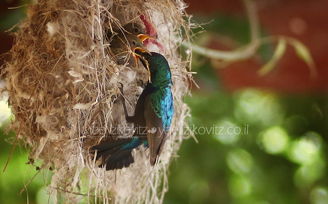 IMG_9852.jpg