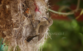 IMG_9876_1.jpg