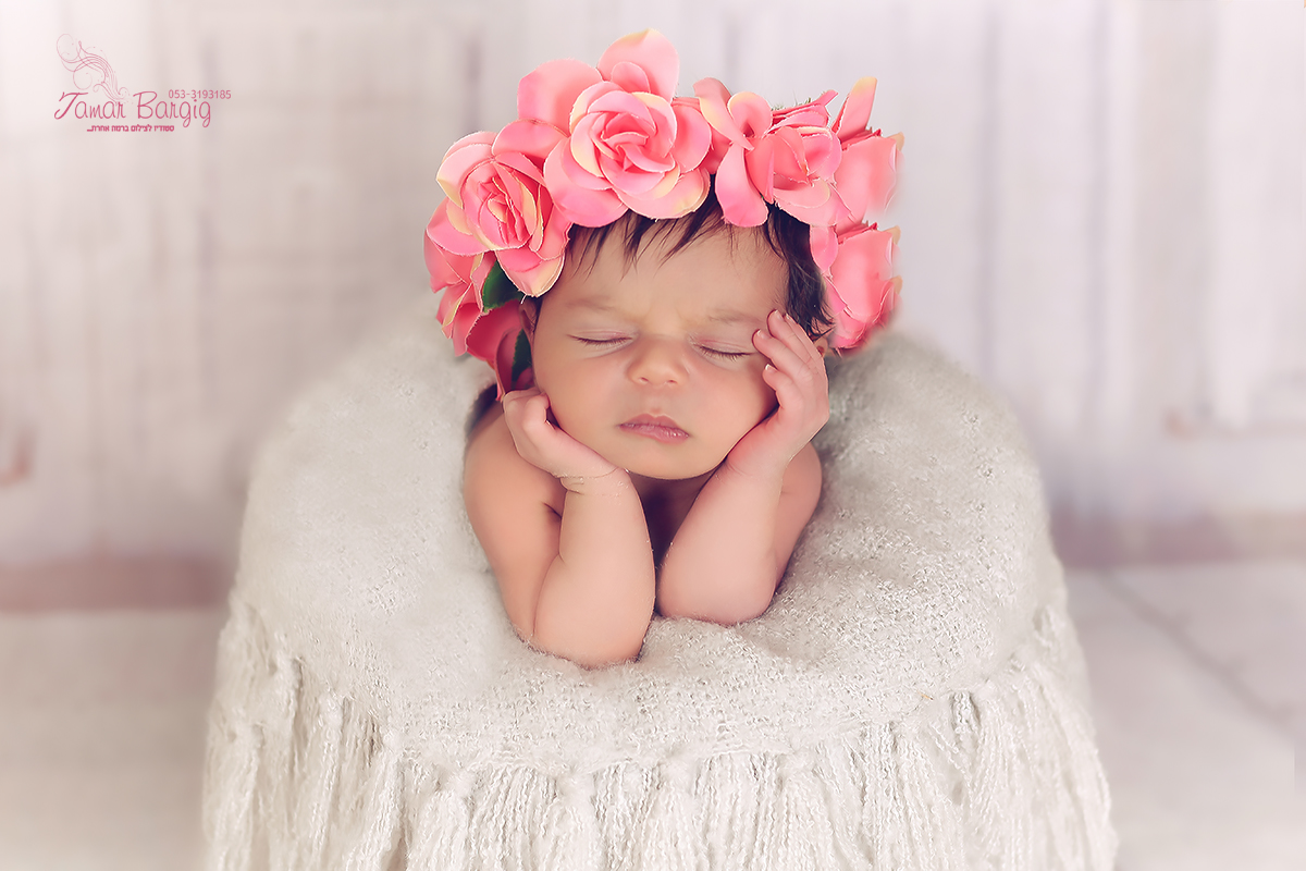 IMG_9924 נמוכה.jpg