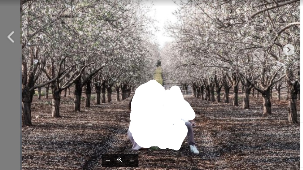 Inkedimage (5)_LI.jpg