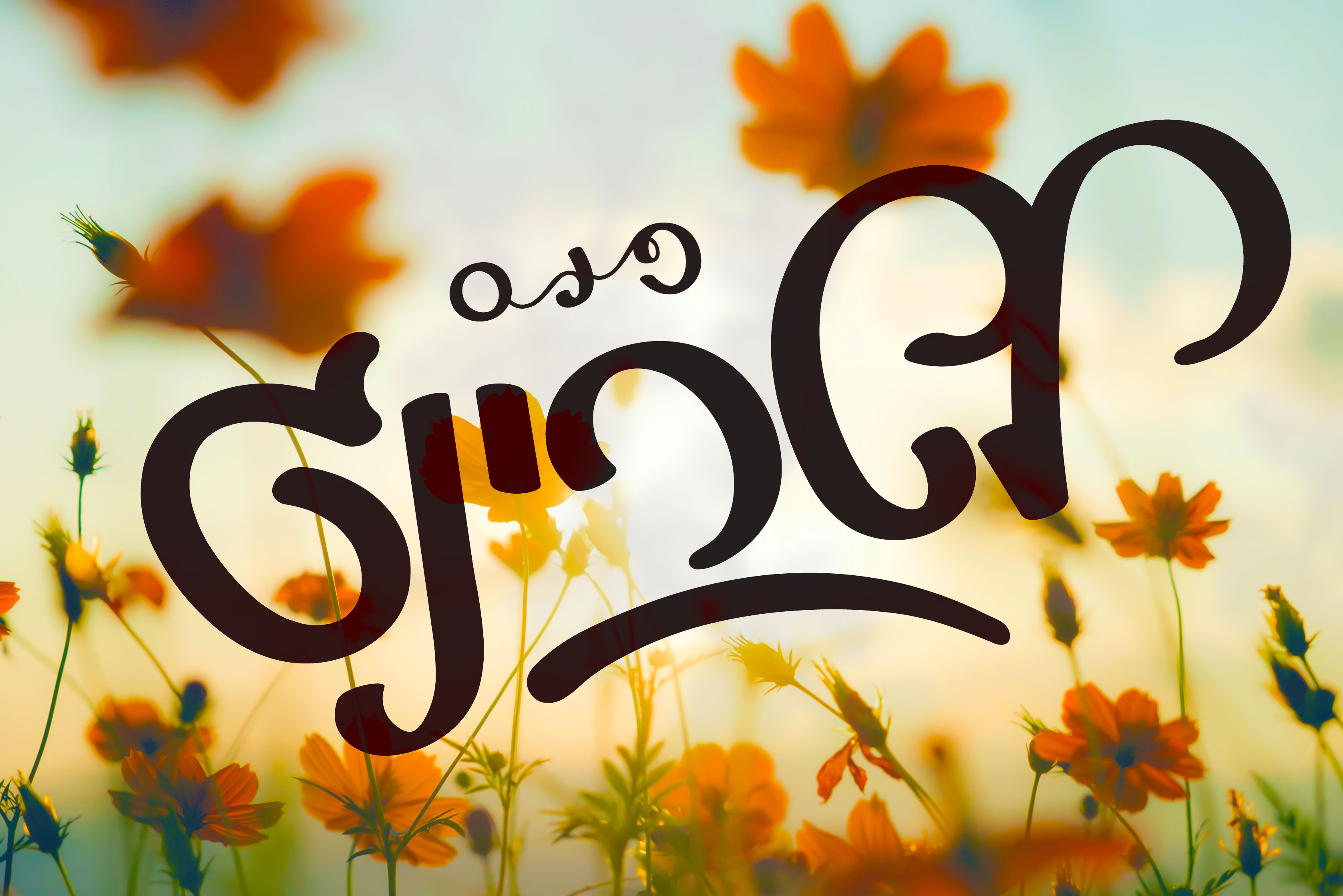 INSERT OWN TEXT OR GRAPHIC HERE.jpg