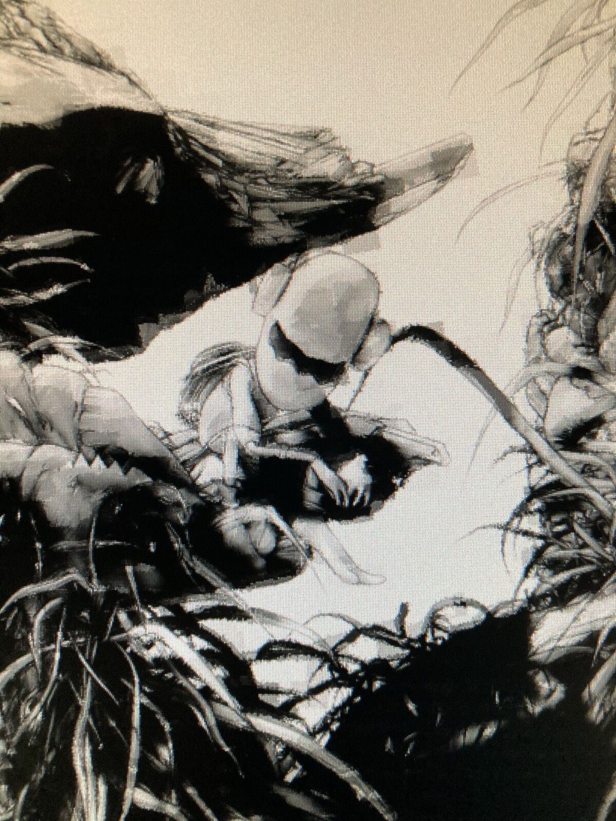 Iris ogli- character desing (4).jpg