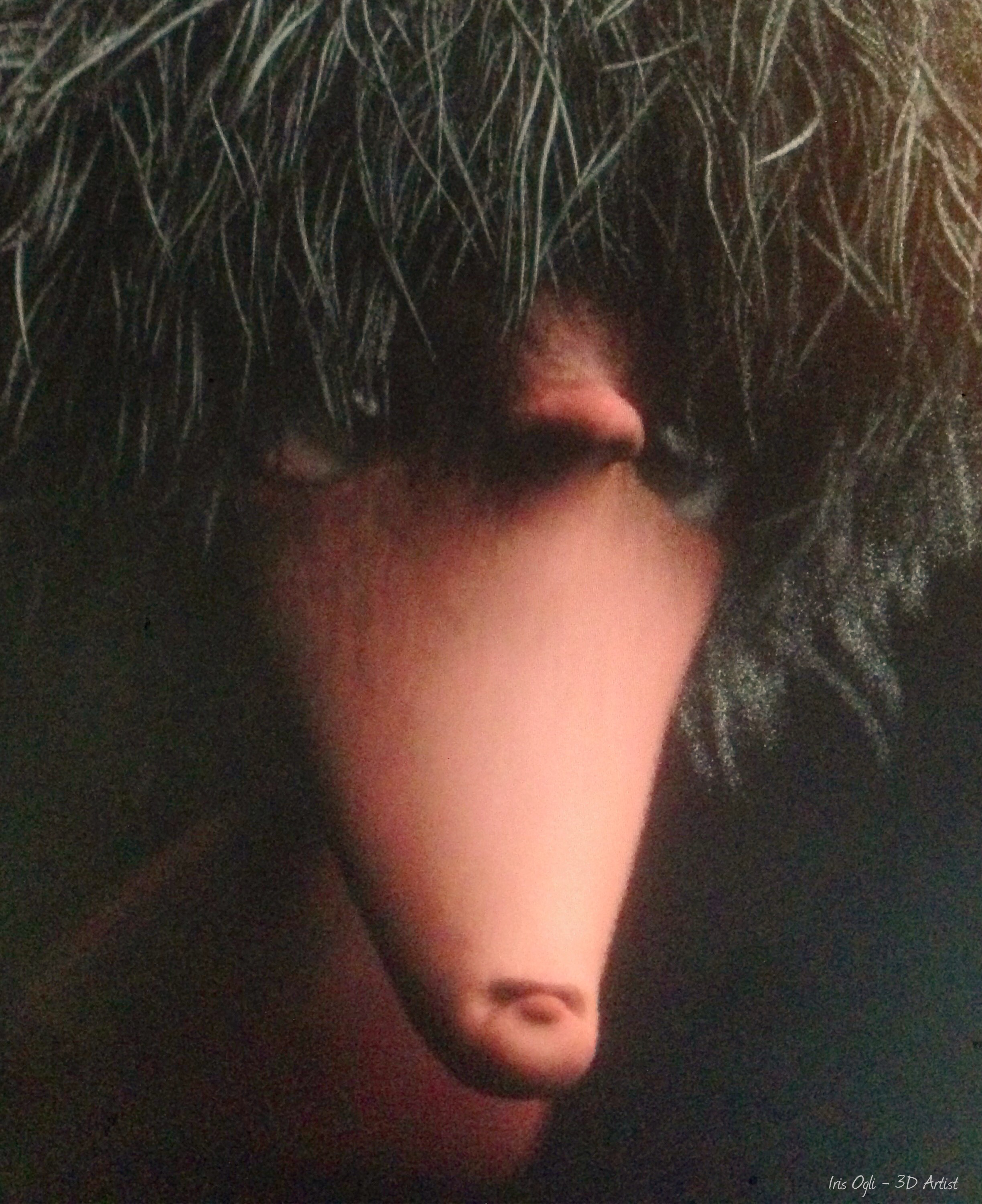 Iris Ogli- Zbrush.png