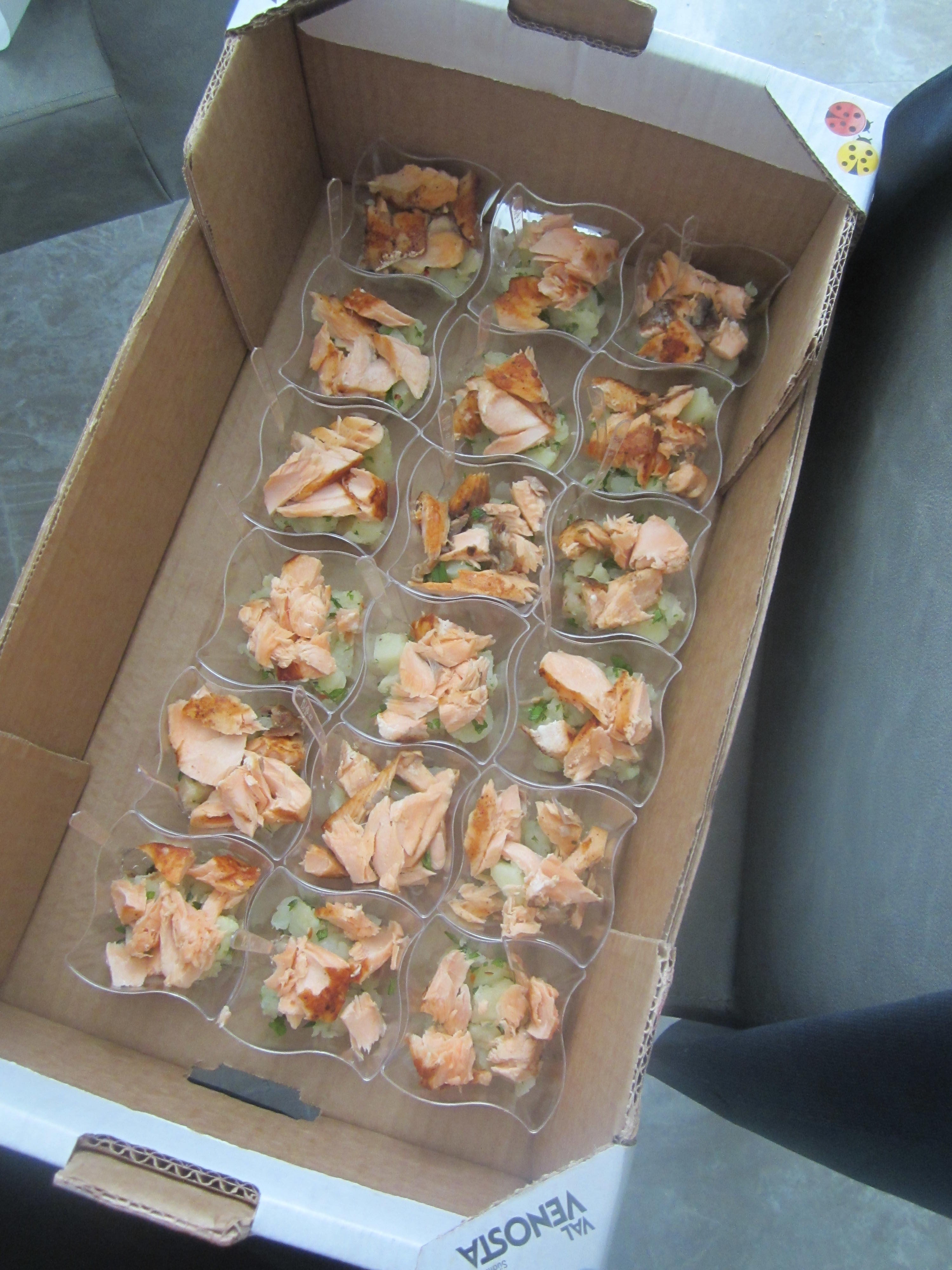 JPEG תמונת (22307).jpg