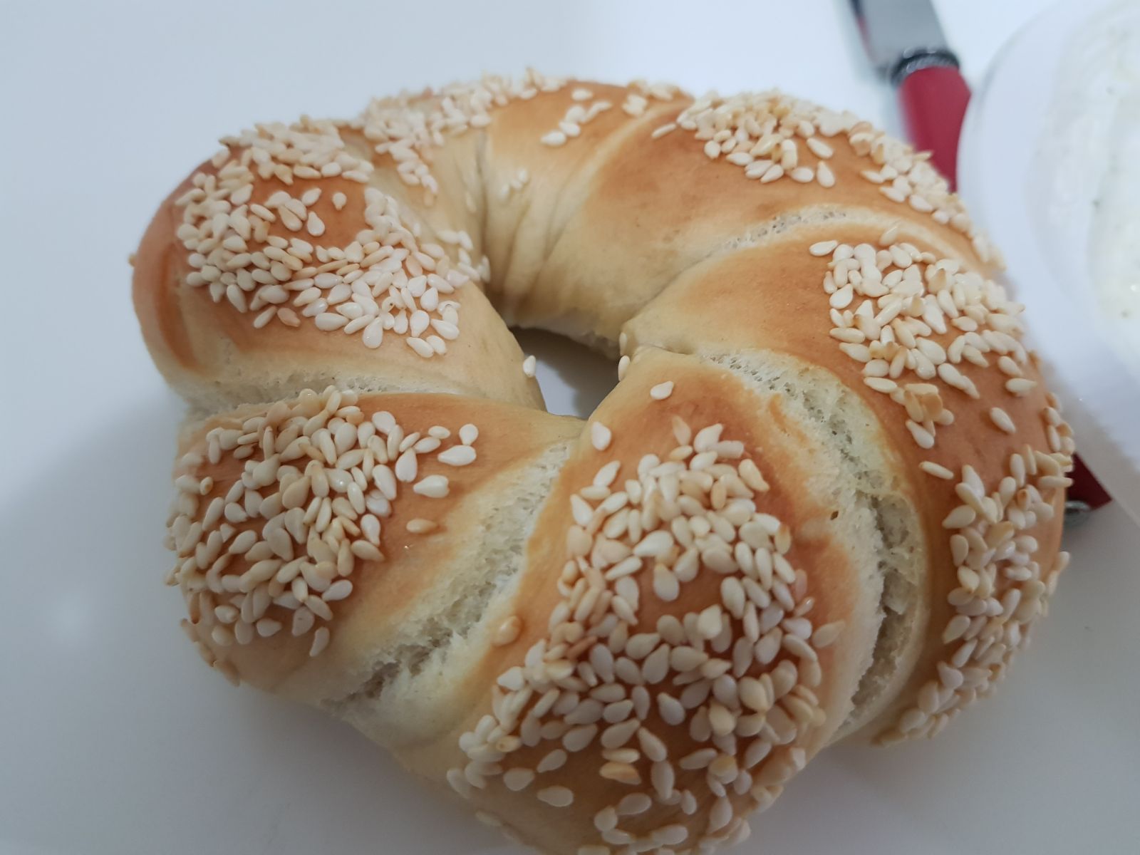 JPEG תמונת (9586).jpg