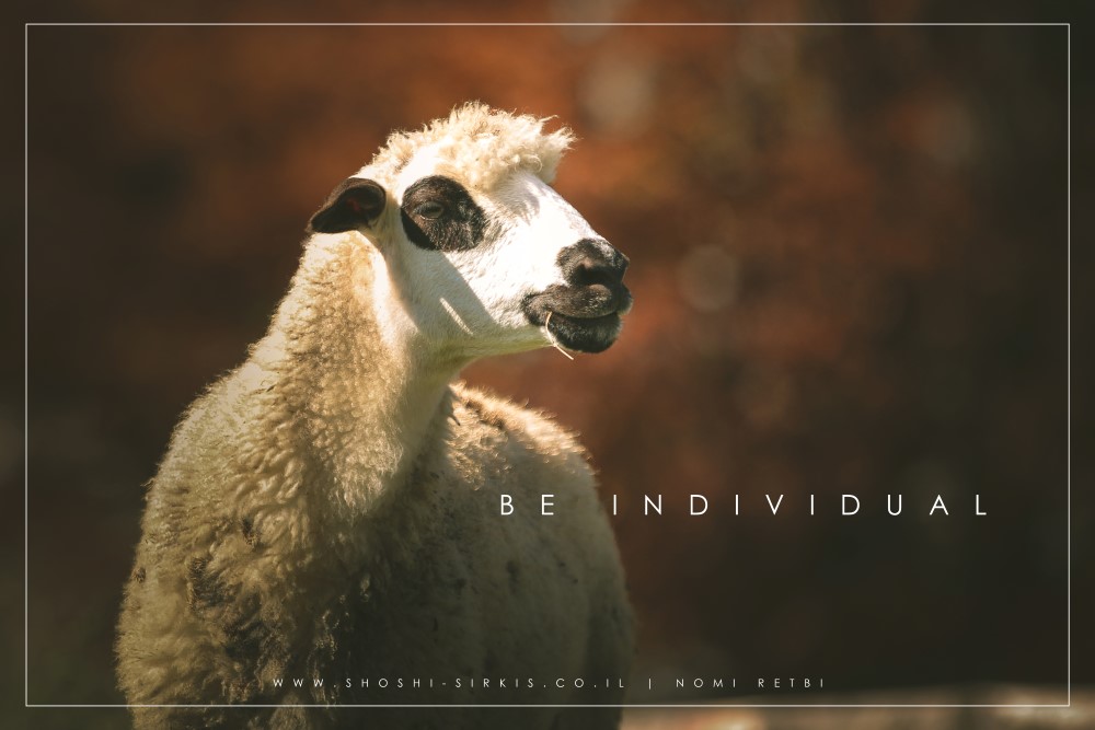 katun eko selo camp- montenegro-0510.jpg