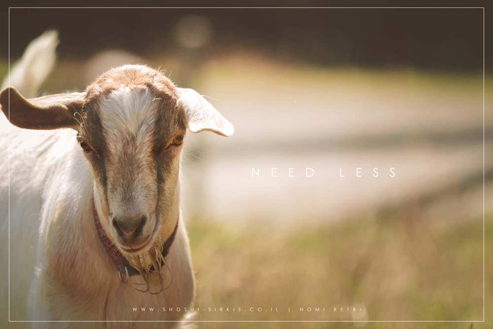 katun eko selo camp -montenegro-0512.jpg