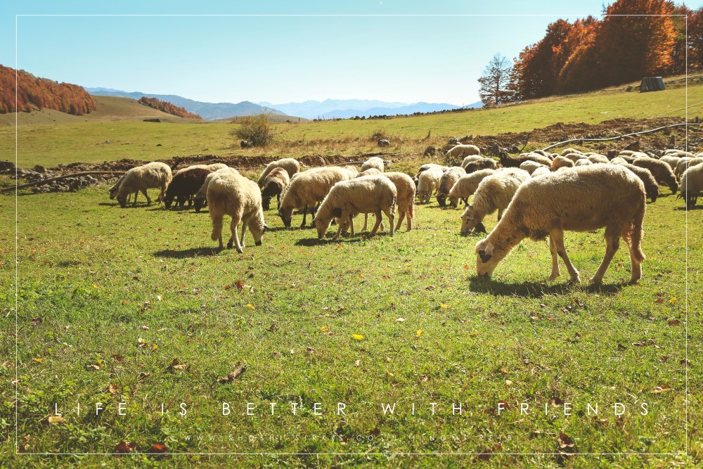 katun eko selo camp- montenegro-4916.jpg