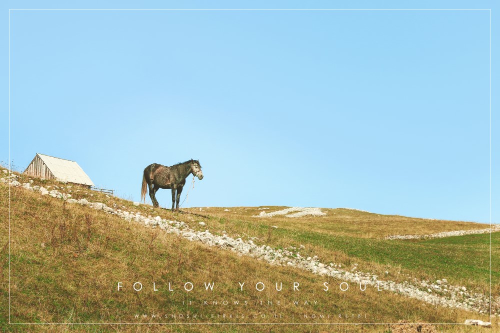 katun eko selo camp- montenegro-5020.jpg