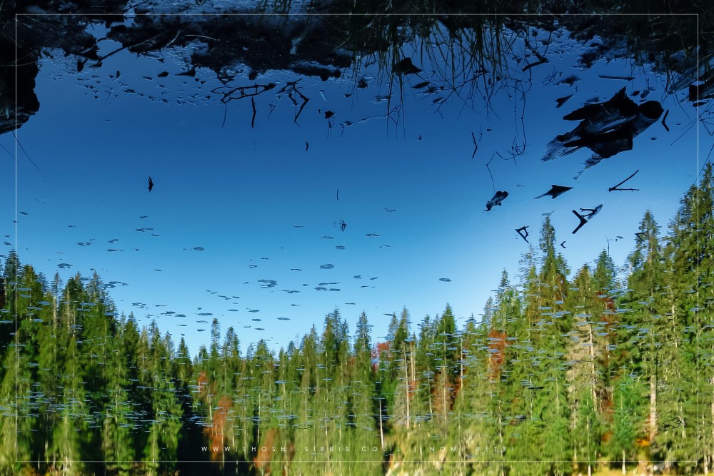 katun eko selo camp -montenegro-5107.jpg