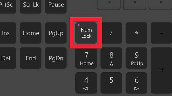laptop-numlock-key-1576316281.jpg