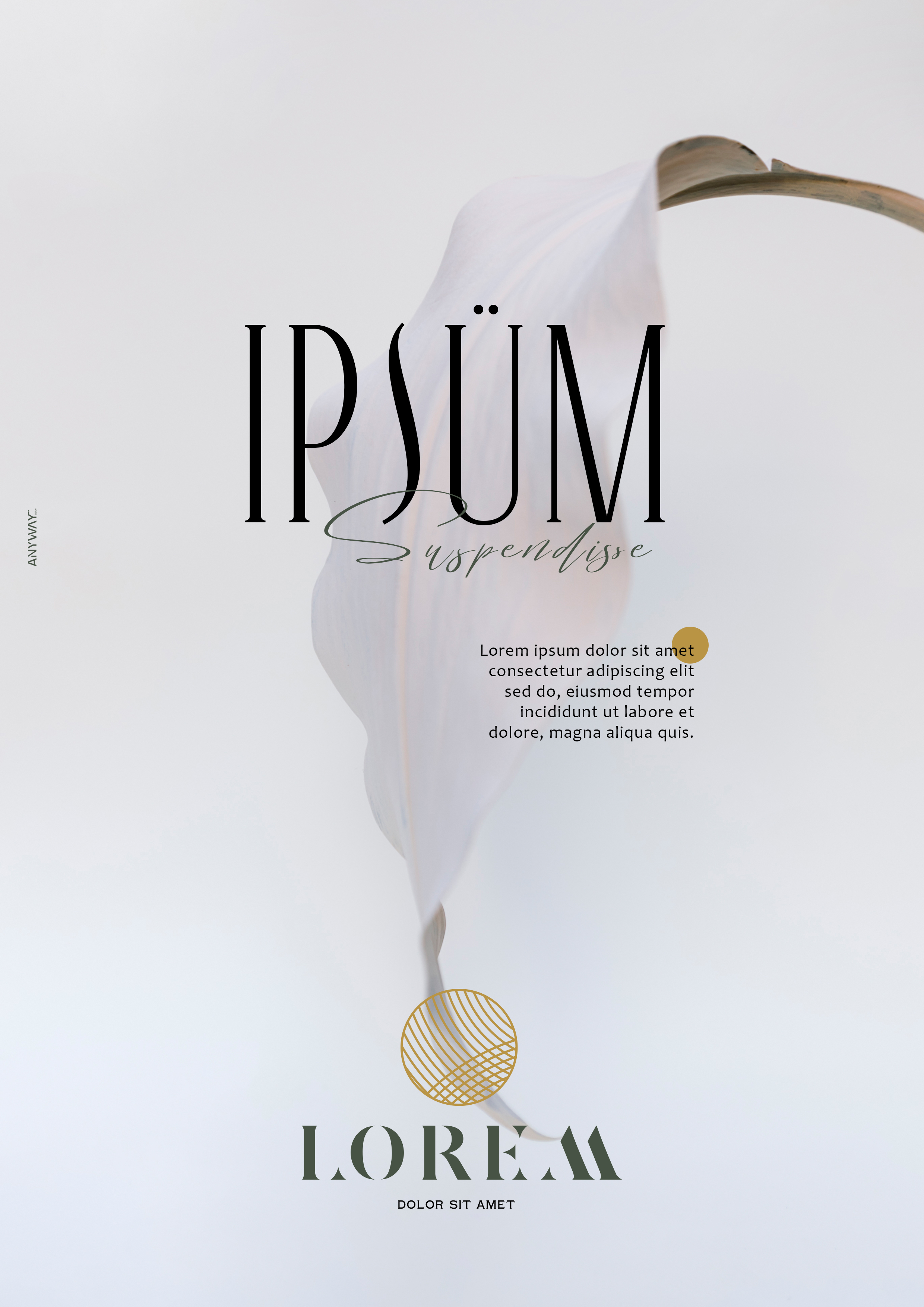 lorem ipsum copy.jpg