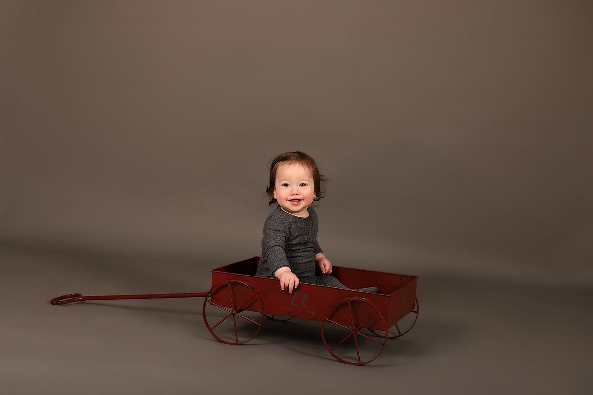 marron wheelbarrow.jpg