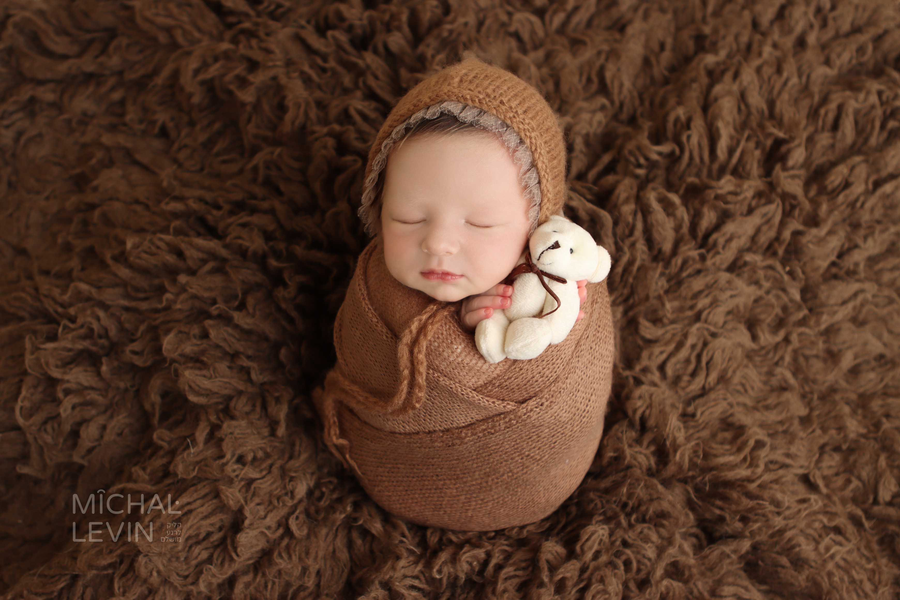 Michal Levin Photography logo (1).jpg