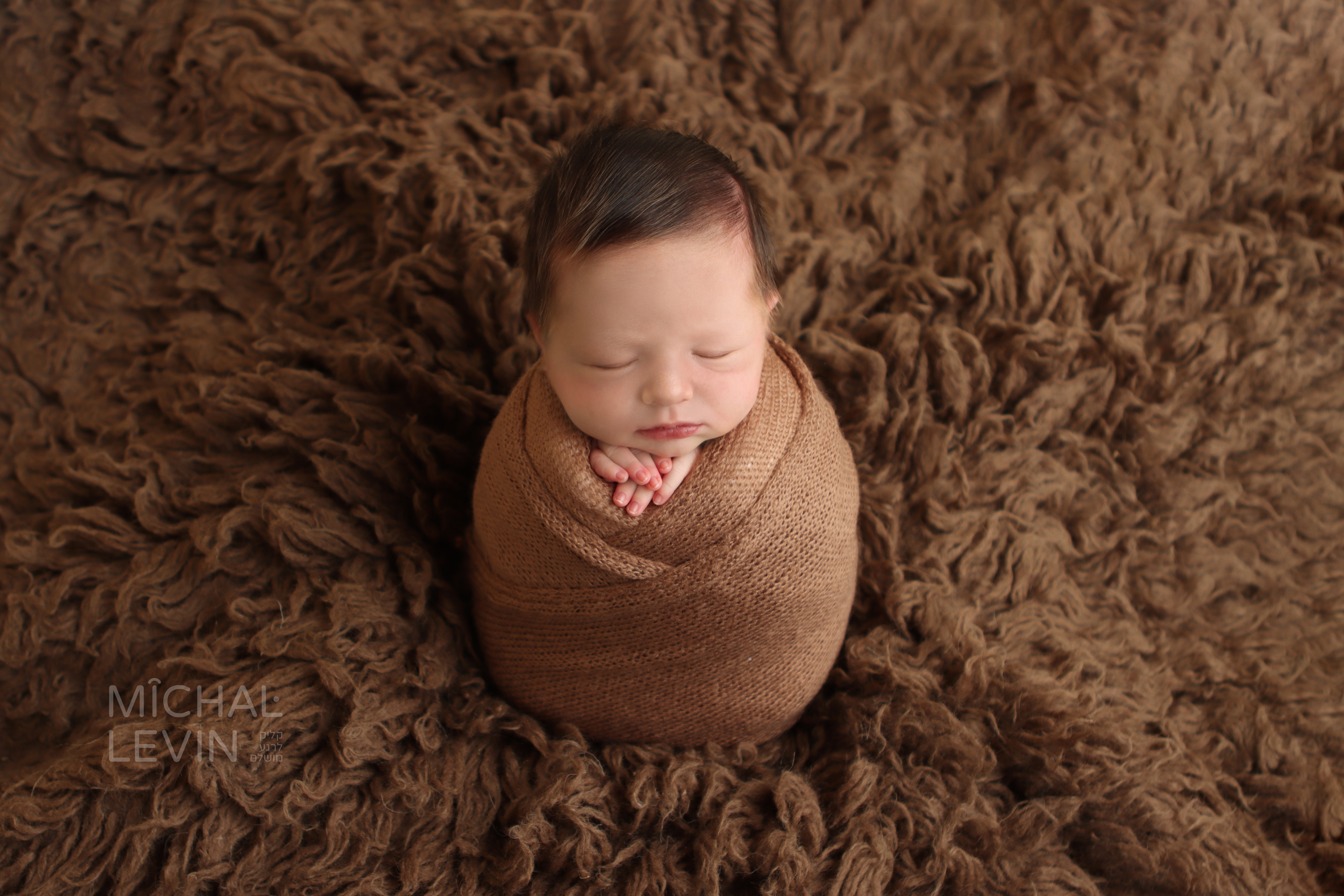 Michal Levin Photography logo (2).jpg