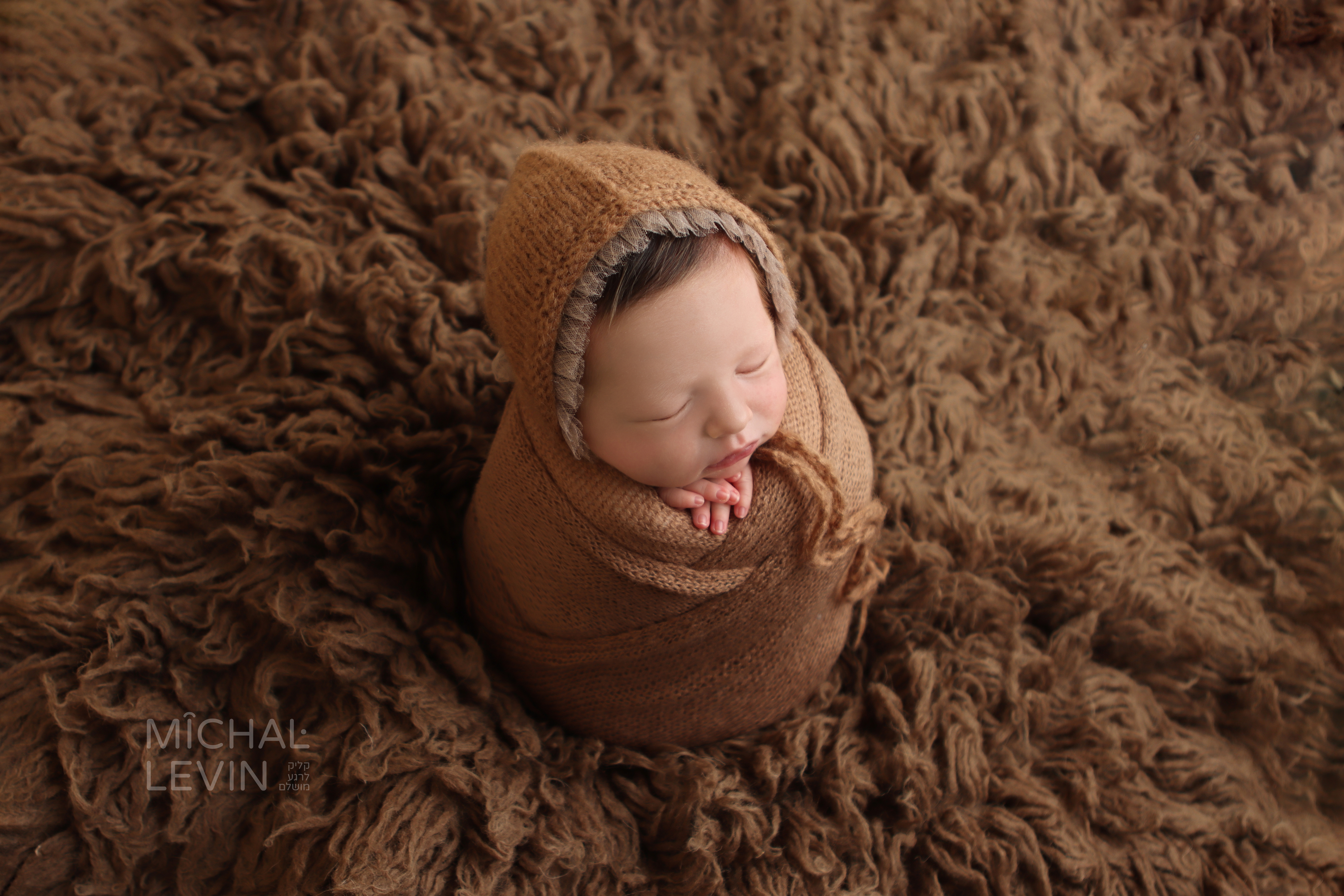 Michal Levin Photography logo (3).jpg