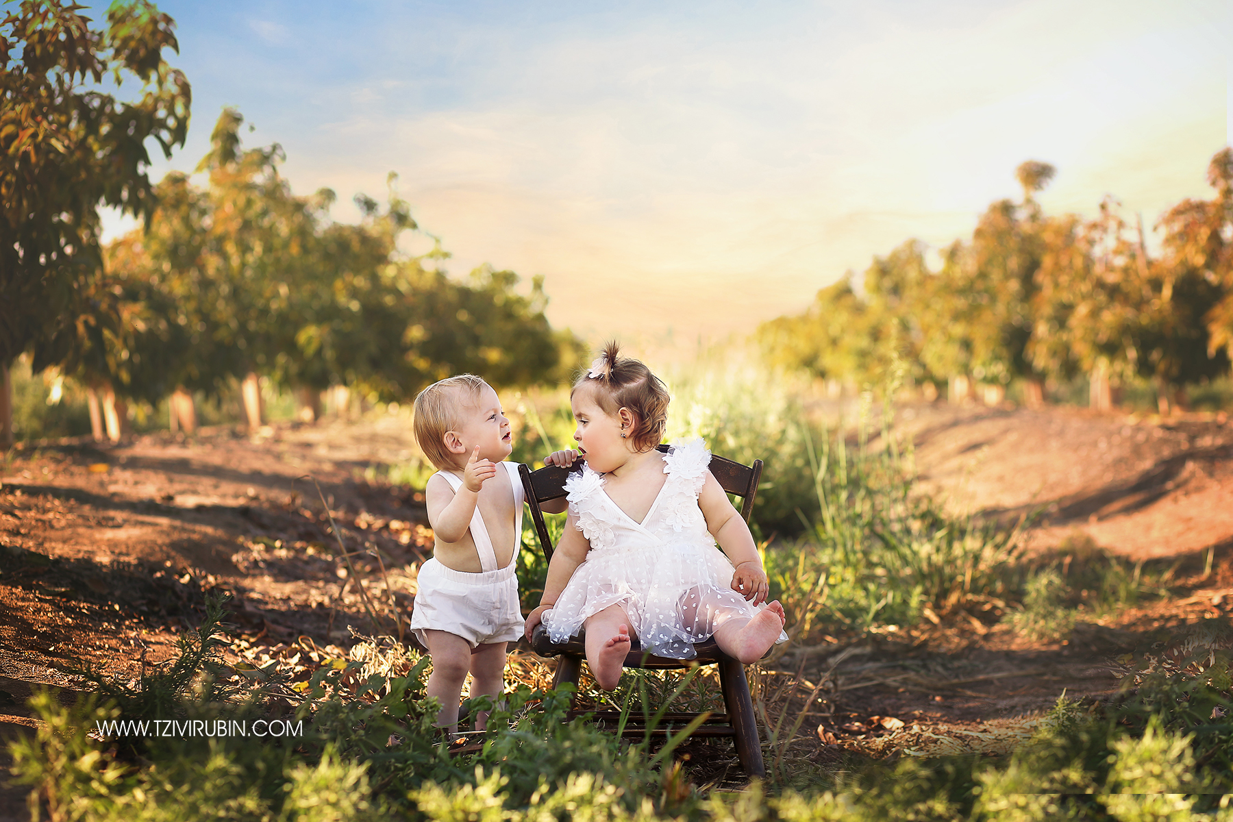 Modify Curves Layer.jpg