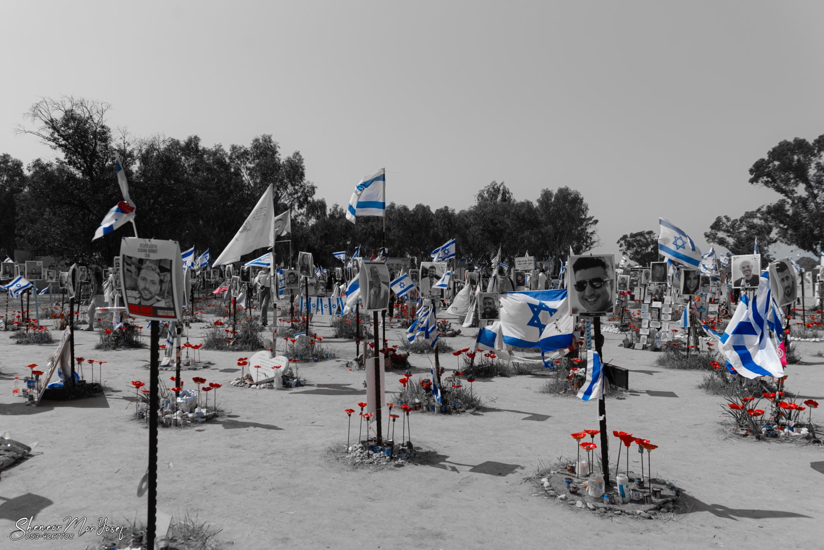 MYS_6004 (גדול).jpg