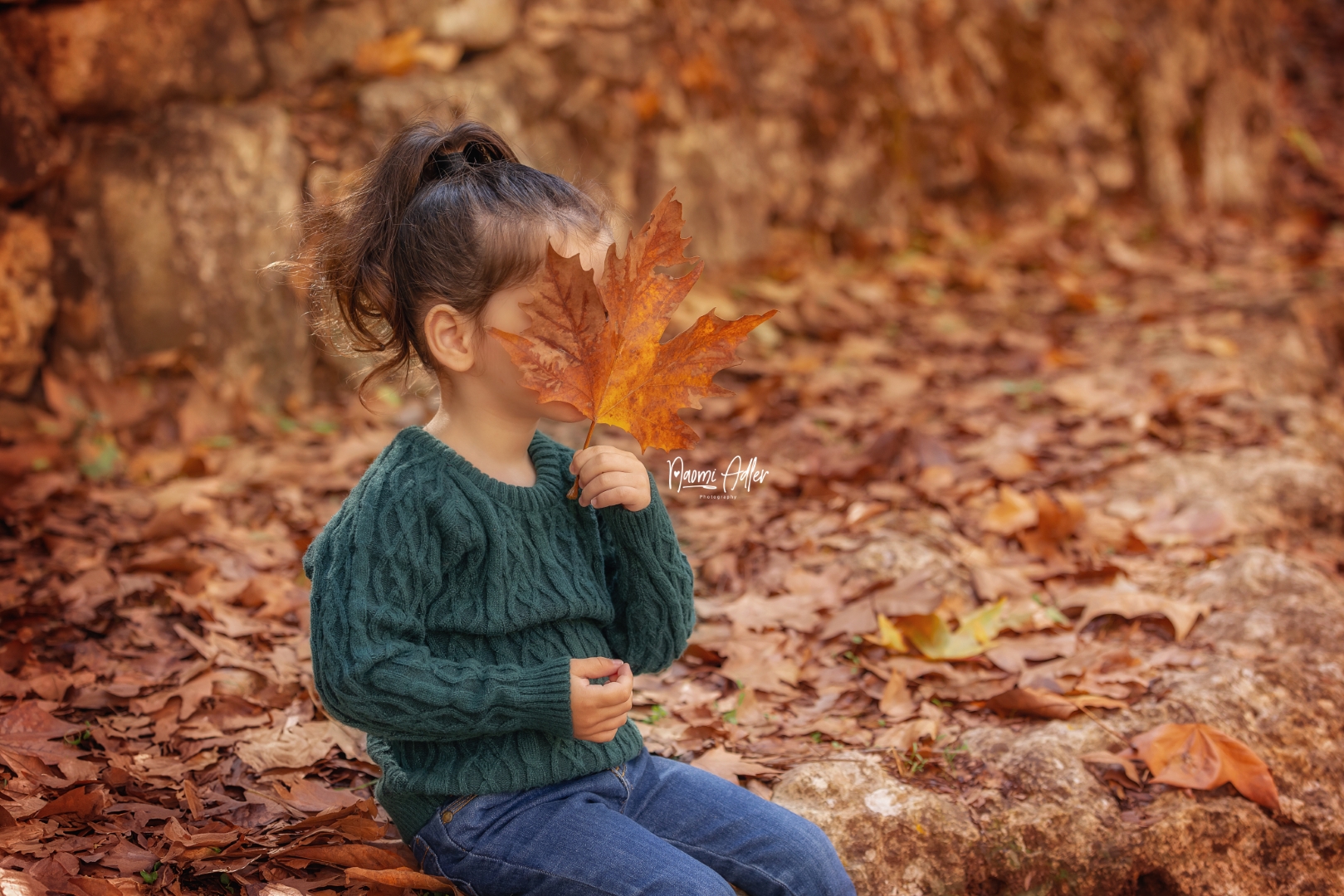 NAP_5928 (Large).jpg