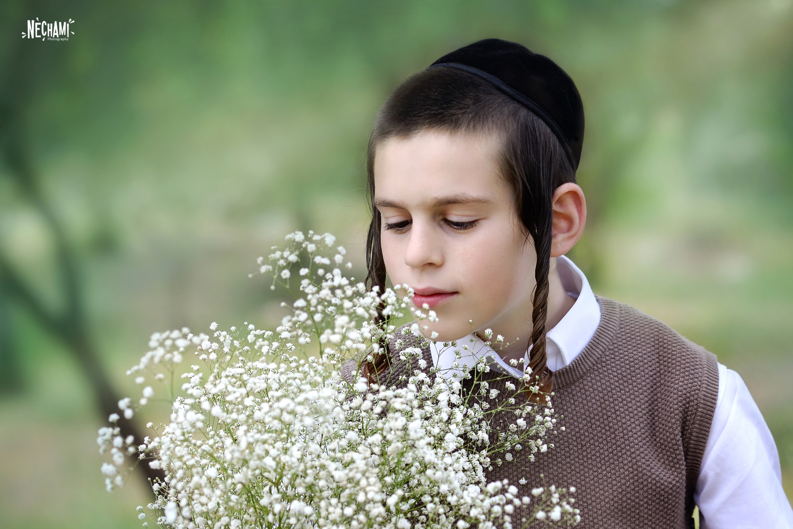 NFA_3452 (Large).jpg