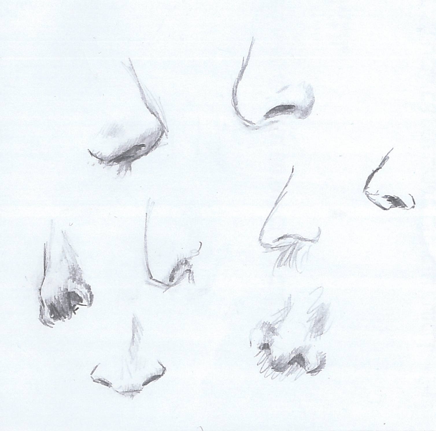 noses.jpg