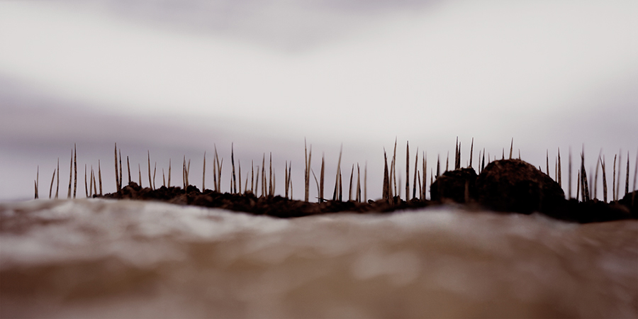 ohad_asher_SL (1)_size150x75cm_year2007.jpg