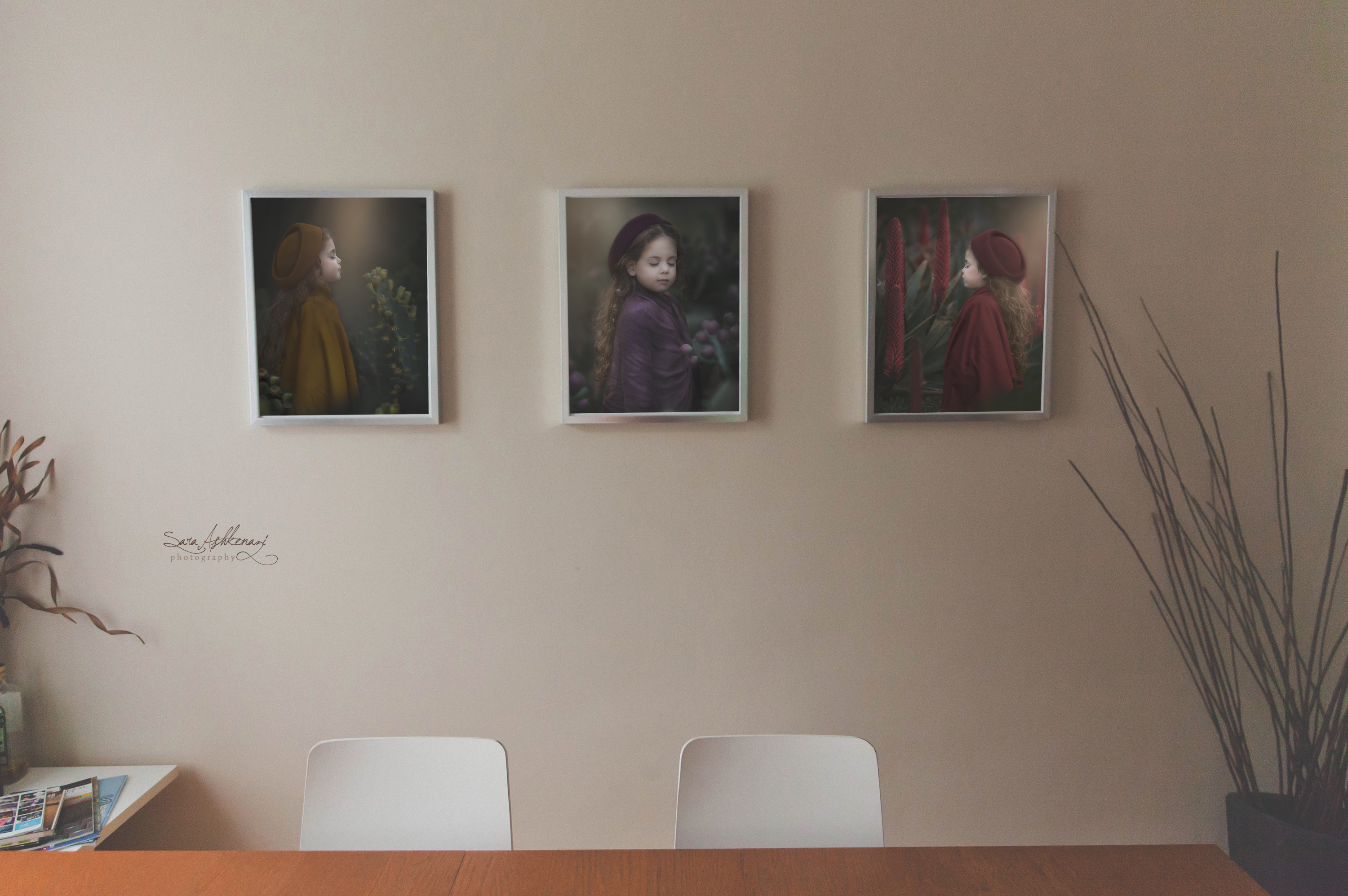 OQ3A9G1 תמונות על הקיר.jpg