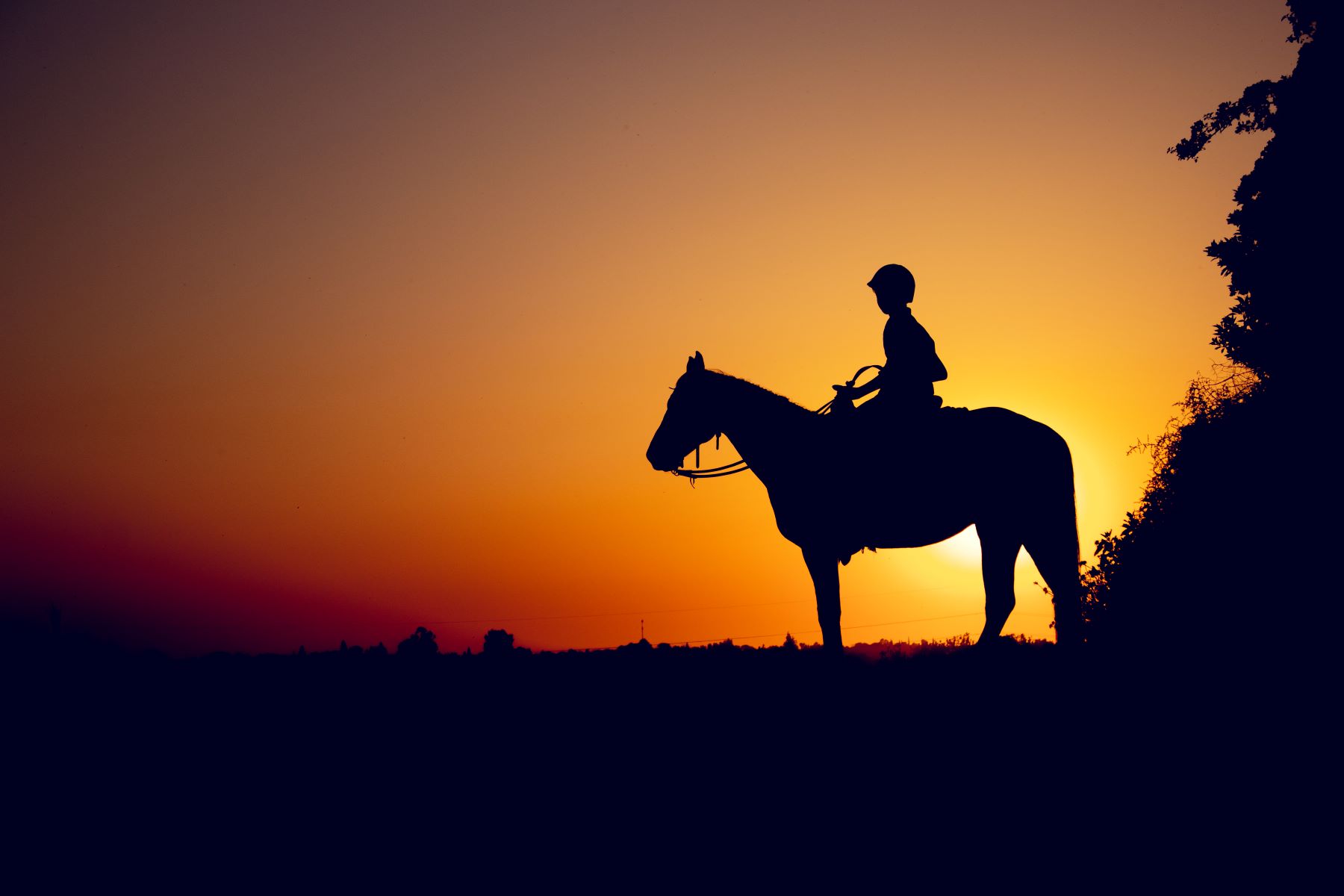 P-G 0556771745 (20).jpg