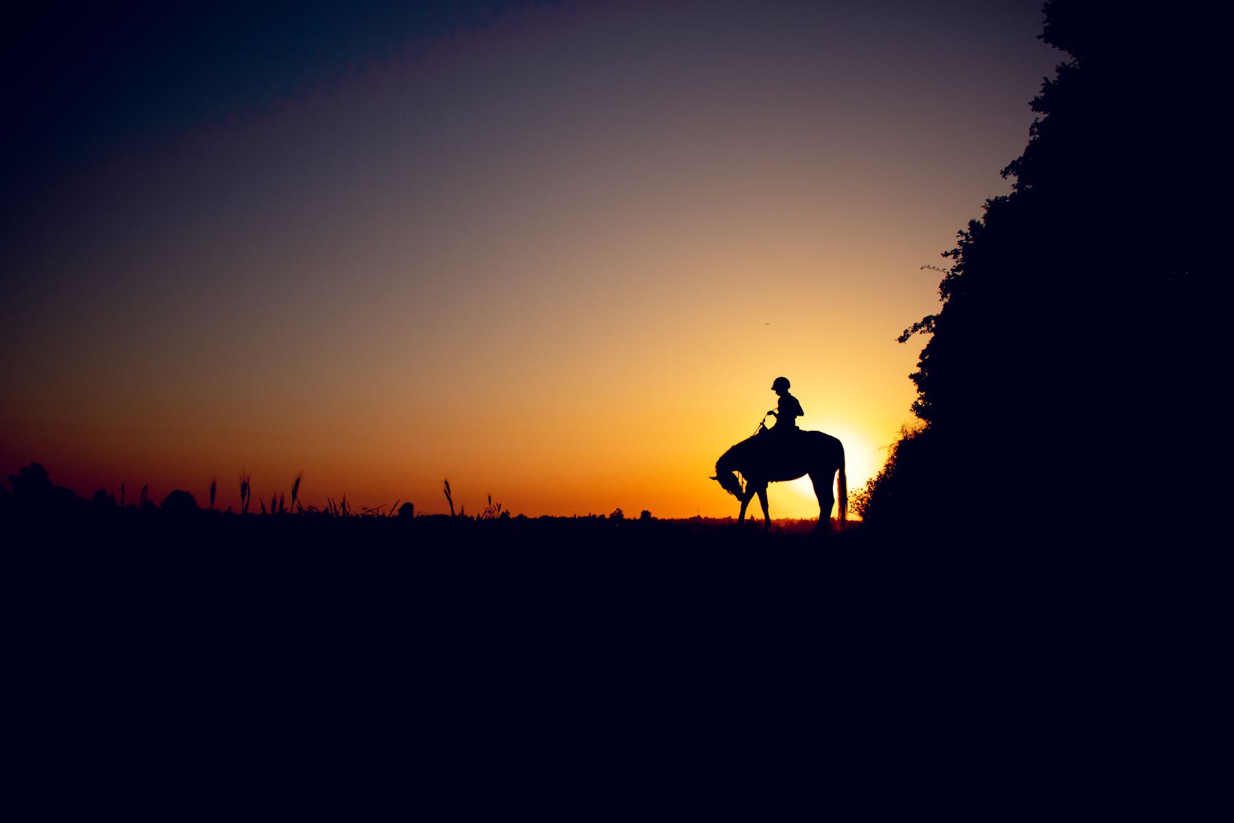 P-G 0556771745 (21).jpg