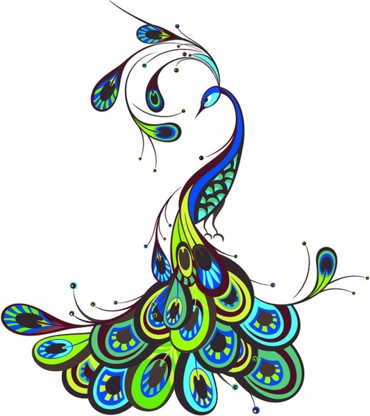 peacock_beautiful_vector_589223.jpg