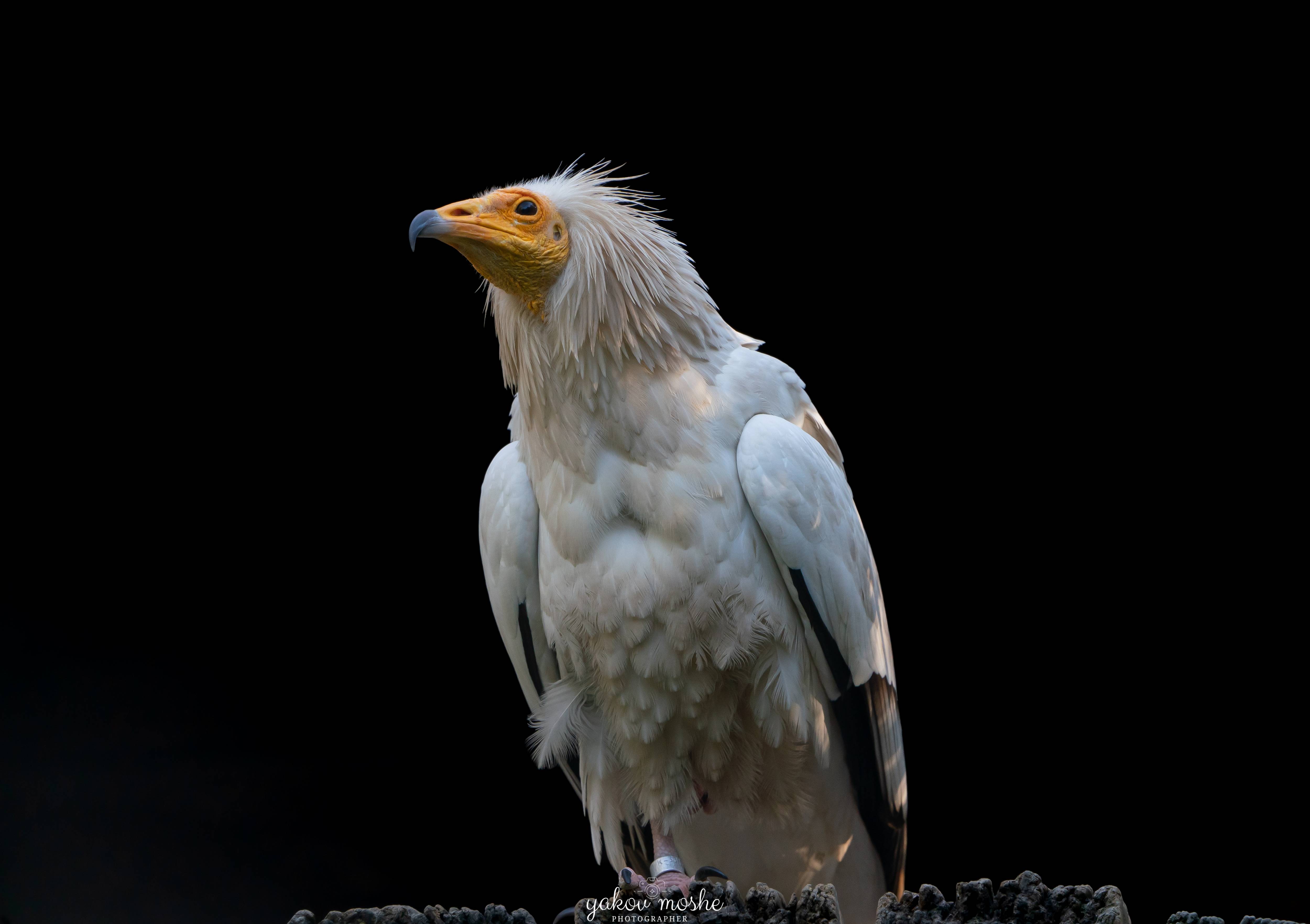 Photo_1653239054113 (1).jpg