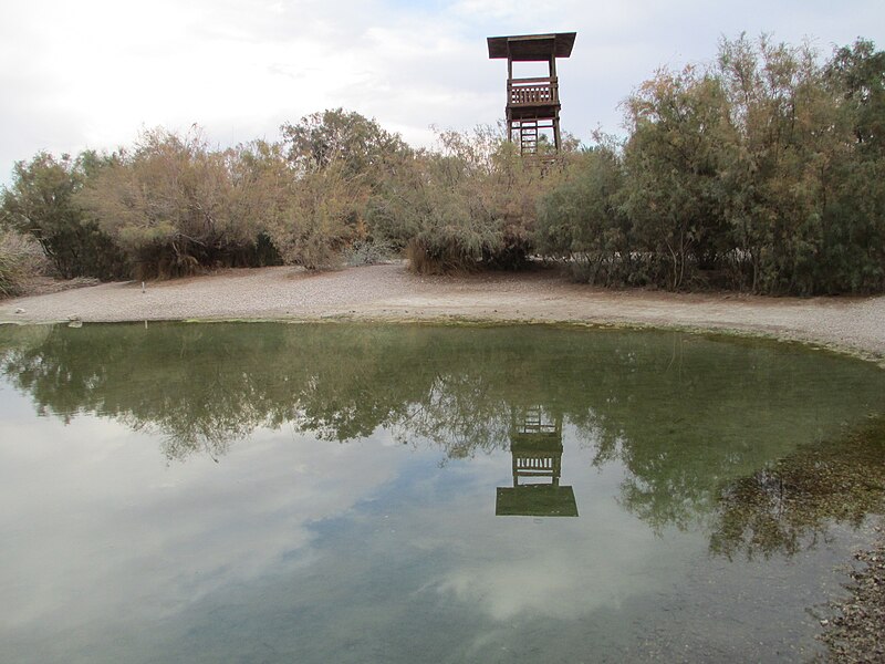 PikiWiki_Israel_34292_Einot_Tsukim_nature_reserve.JPG