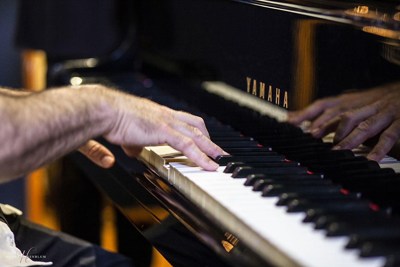 RAZEL מוקטן (1).jpg