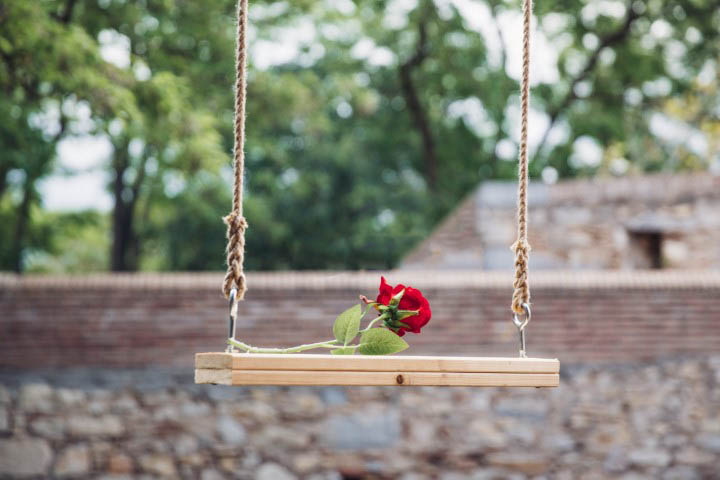 rose-romance_4460x4460 (Small).jpg