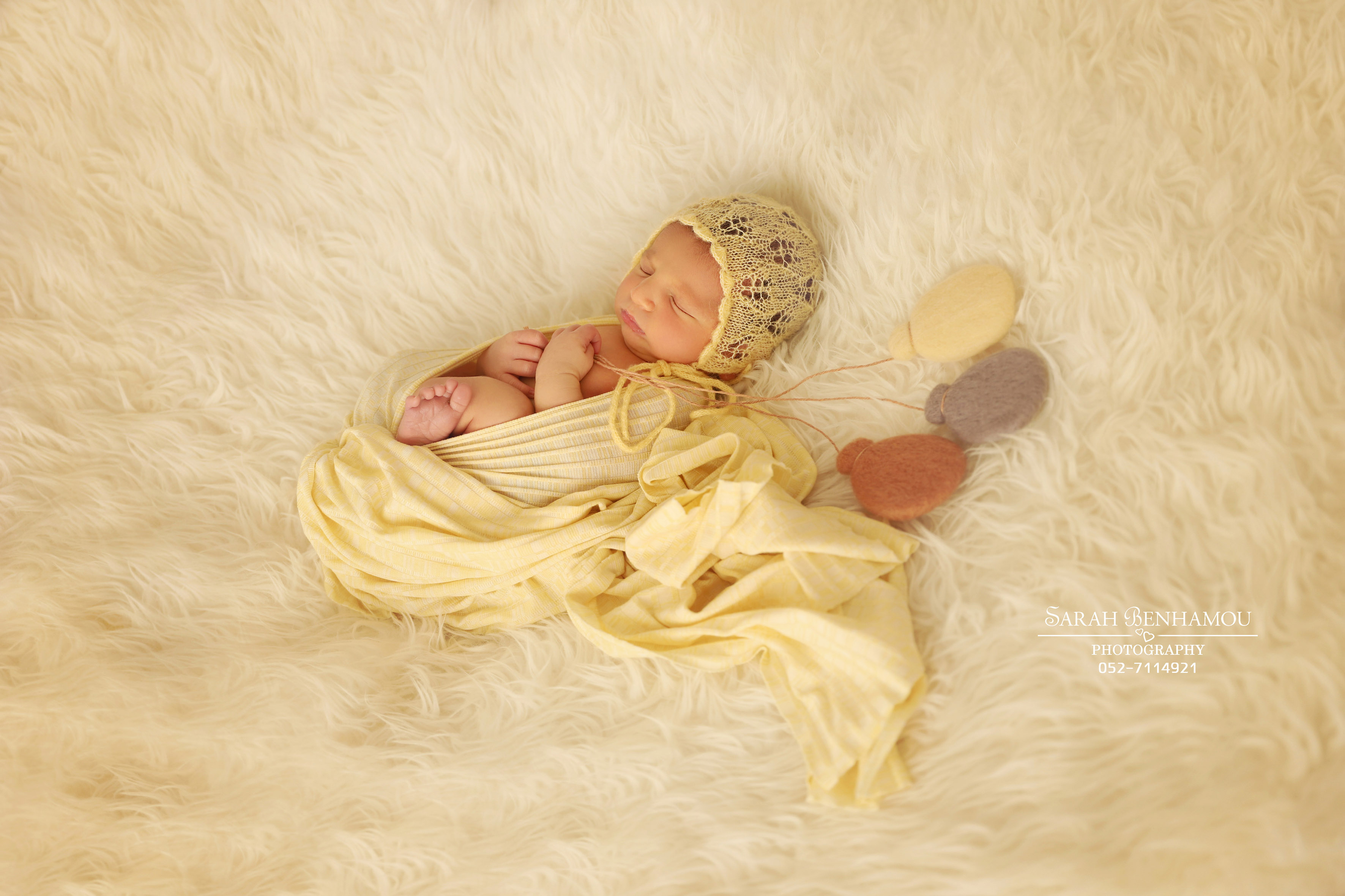 SB 0527114921 (2).jpg