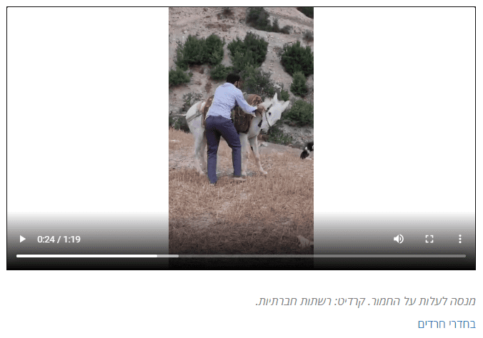 Screenshot 2021-07-25 043515.png