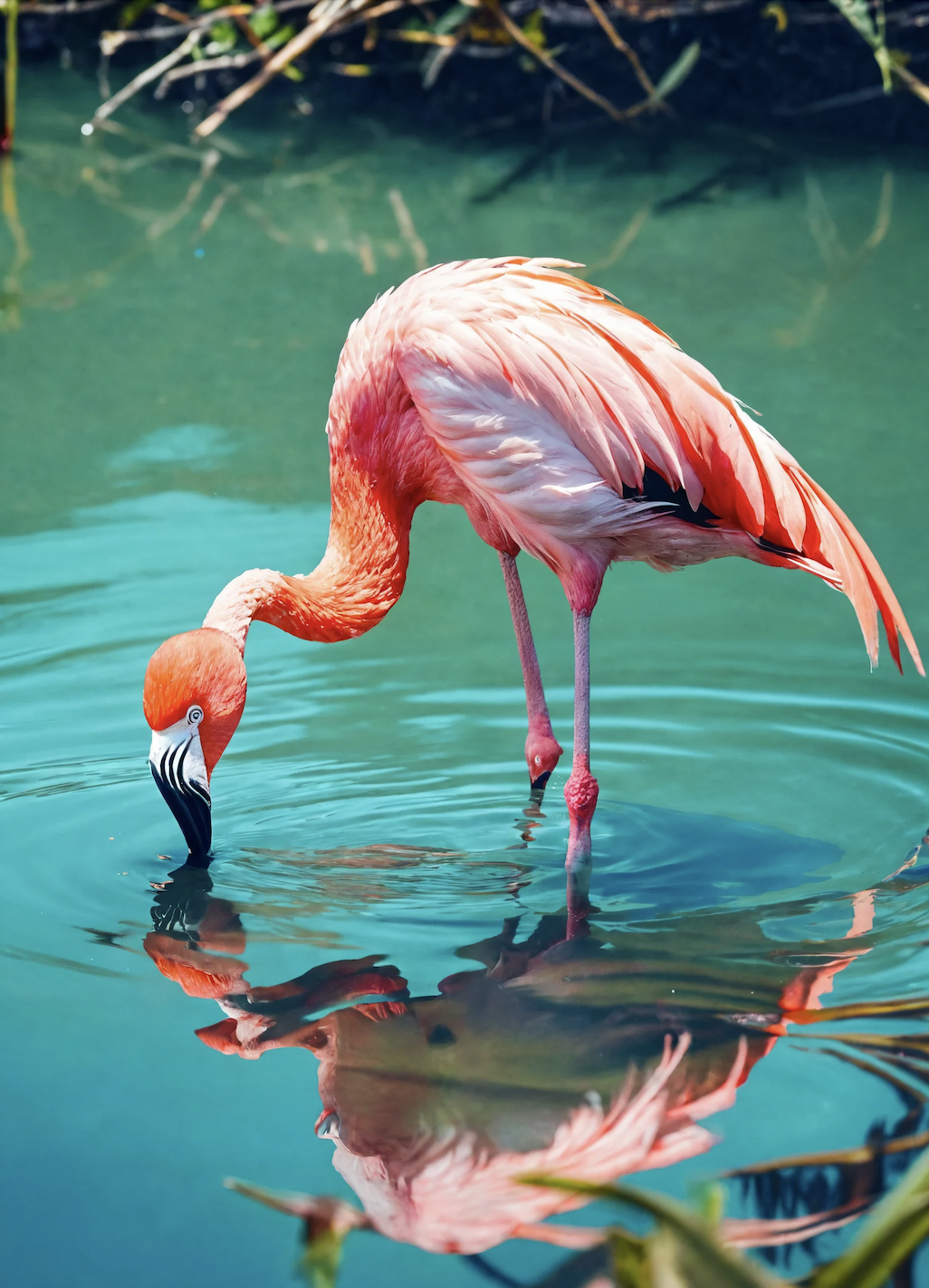 Screenshot 2024-06-03 at 23.04.13.png