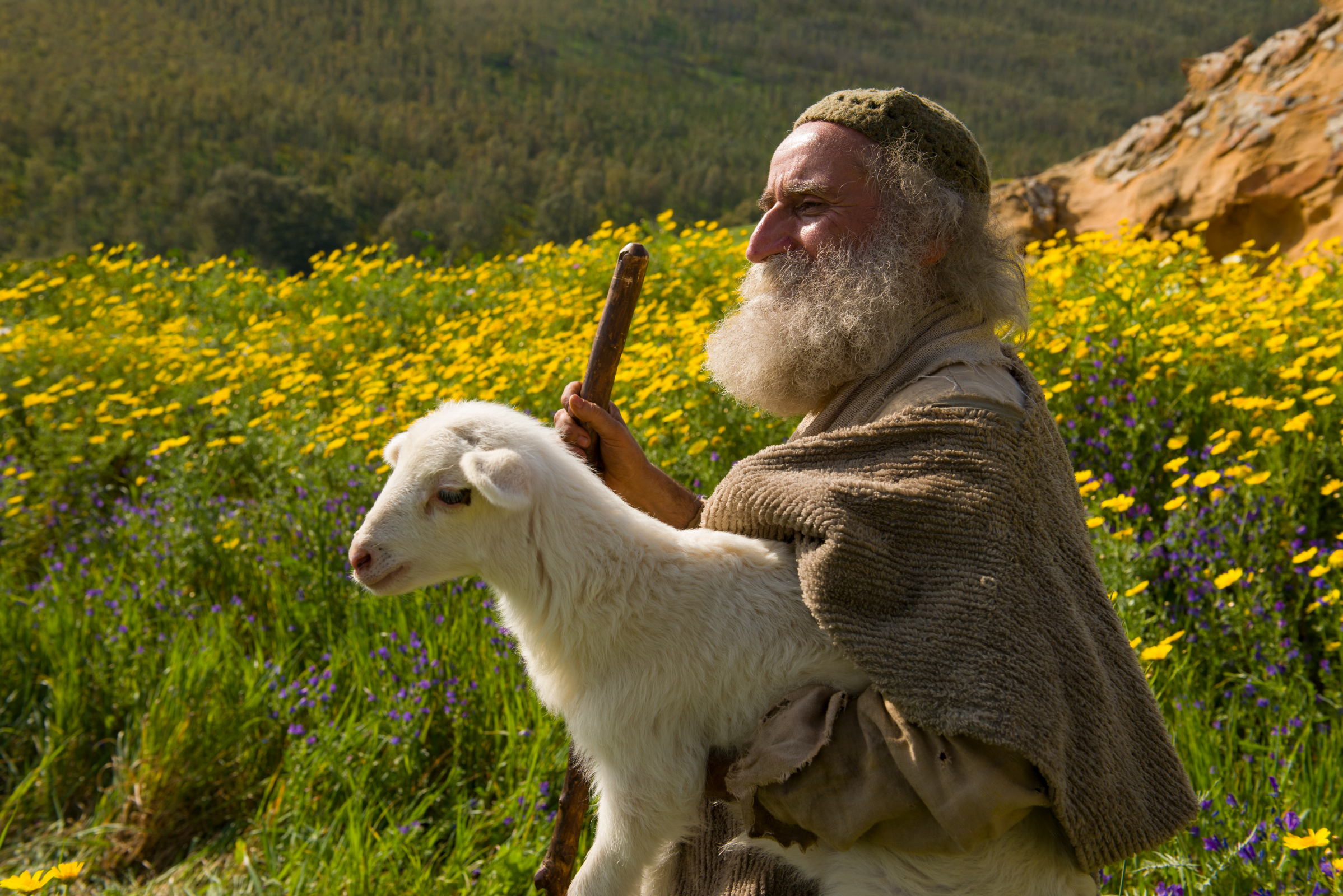 shepherd-lost-sheep-1225064-wallpaper.jpg
