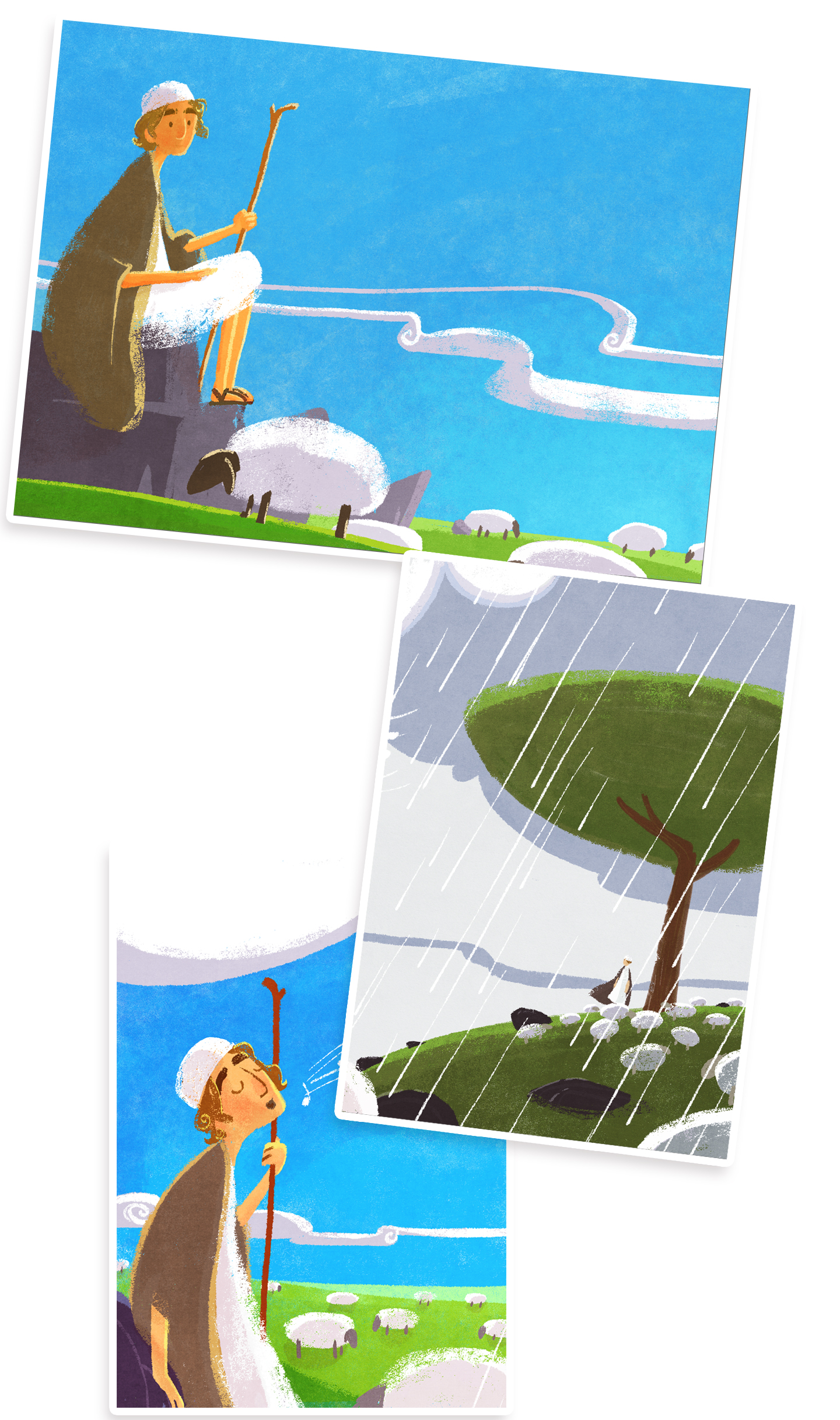 Shepherd tovladat.jpg