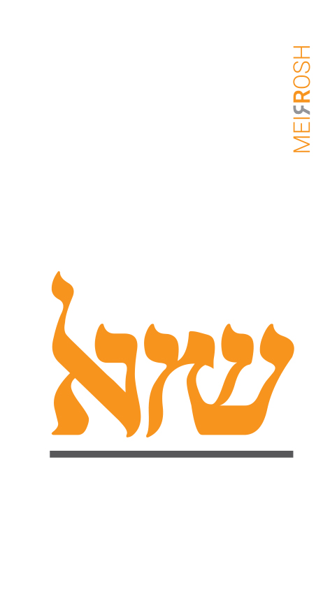 ShmuelTypo MeirRoshDesign.jpg
