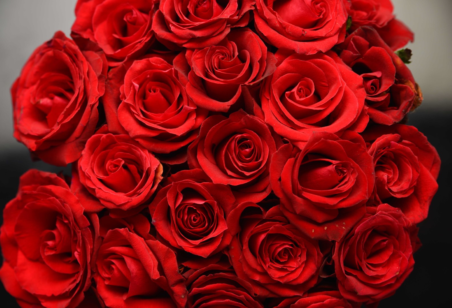 shutterstock_1177615987 (Large).jpg