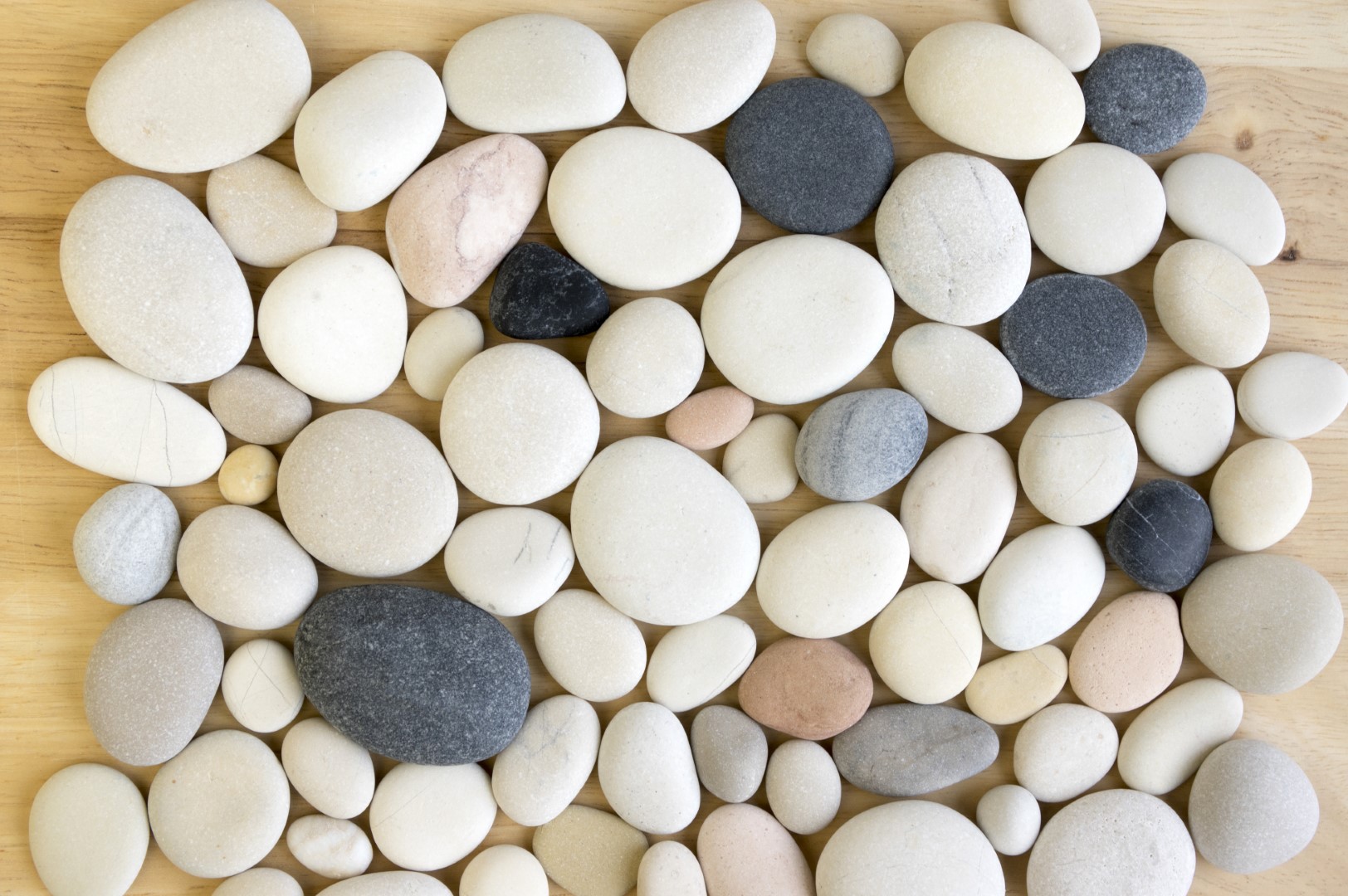 shutterstock_557371900 (Large).jpg