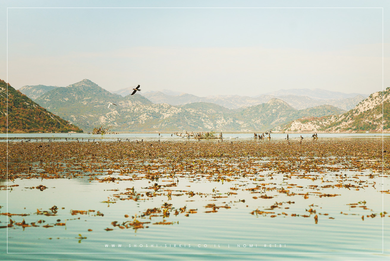 SKADAR LAKE MONTENGRO PHOTOGRAPHY BY SHOSHI SIRKIS (16).jpg