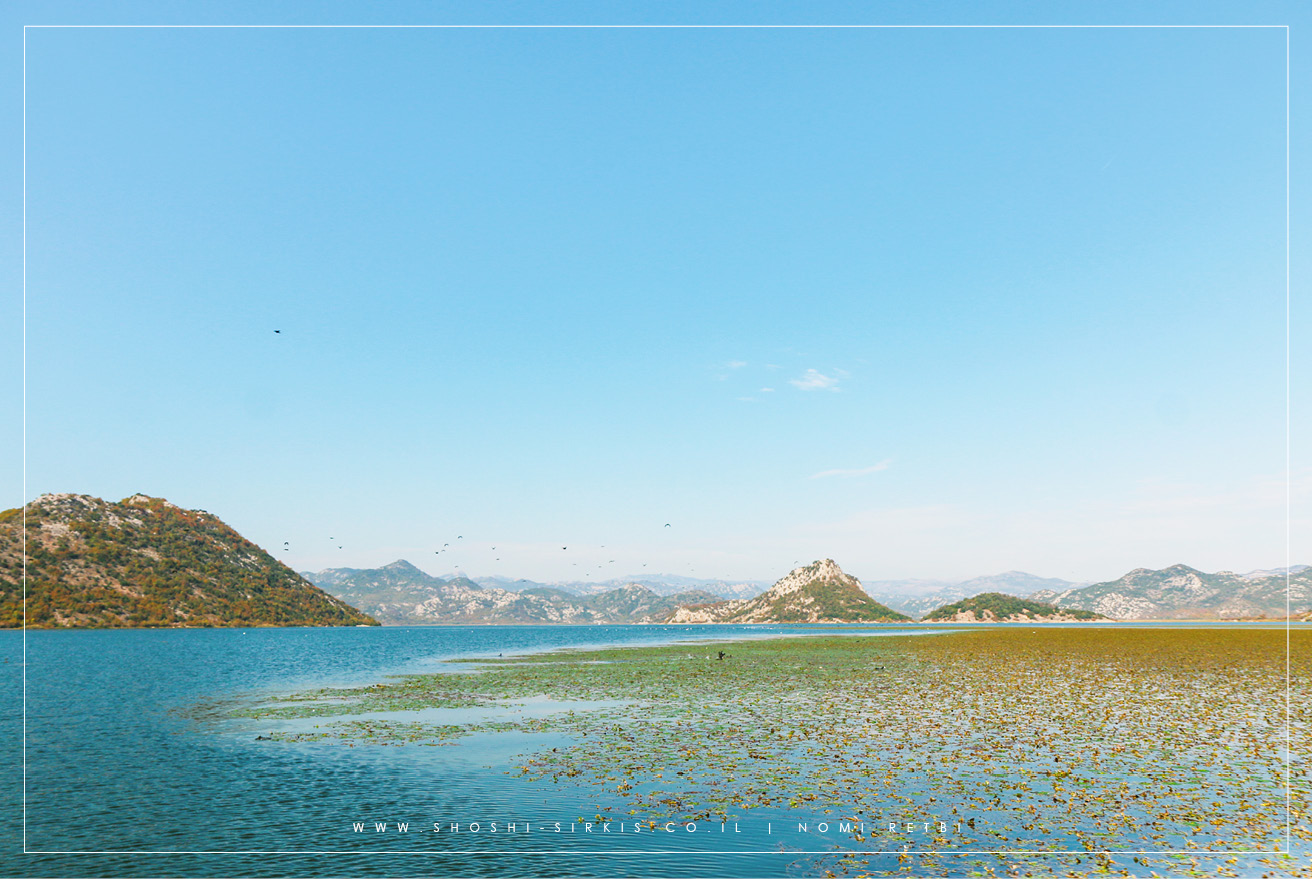 SKADAR LAKE MONTENGRO PHOTOGRAPHY BY SHOSHI SIRKIS (19).jpg