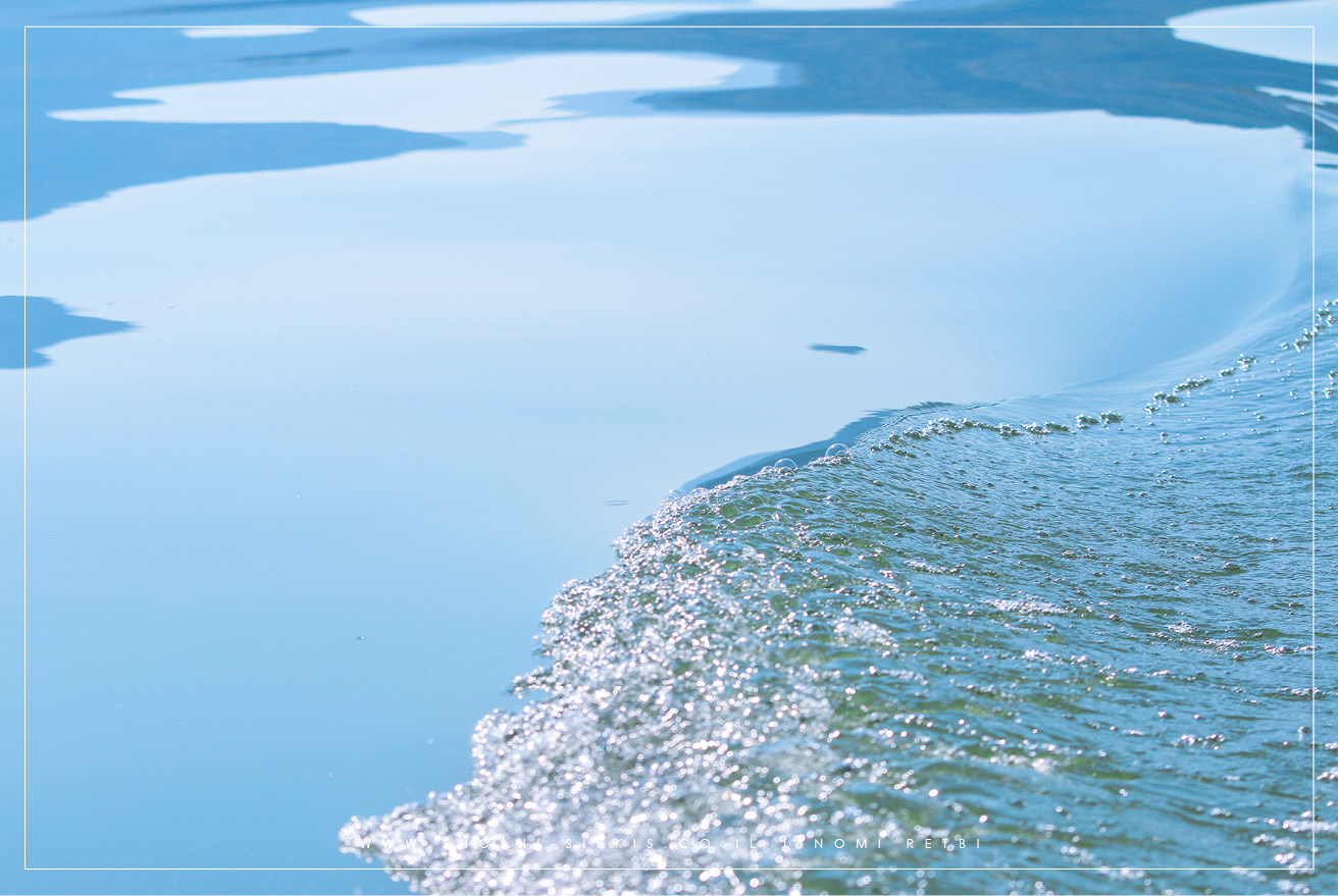 SKADAR LAKE MONTENGRO PHOTOGRAPHY BY SHOSHI SIRKIS (4).jpg