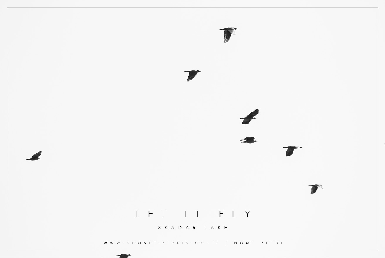 SKADAR LAKE MONTENGRO PHOTOGRAPHY BY SHOSHI SIRKIS (9).jpg