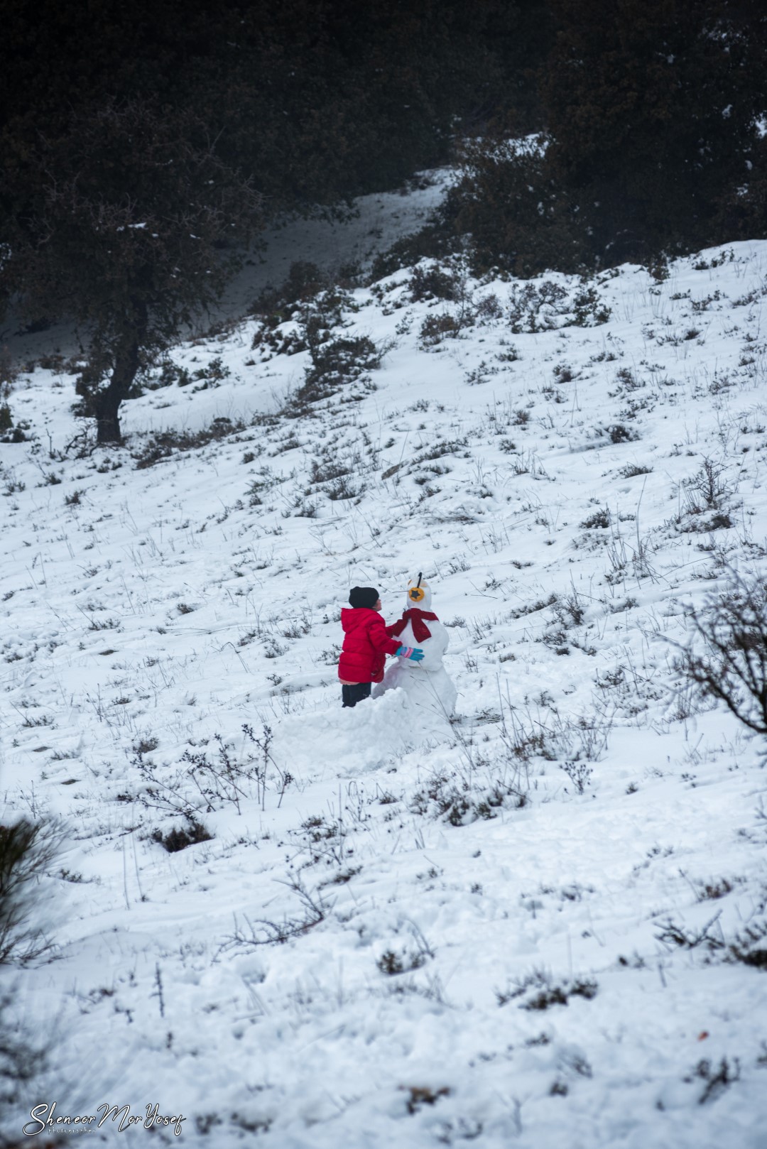 SMY_3310 (גדול).jpg