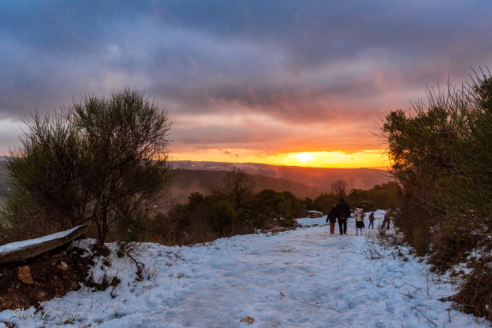 SMY_3452 (גדול).jpg