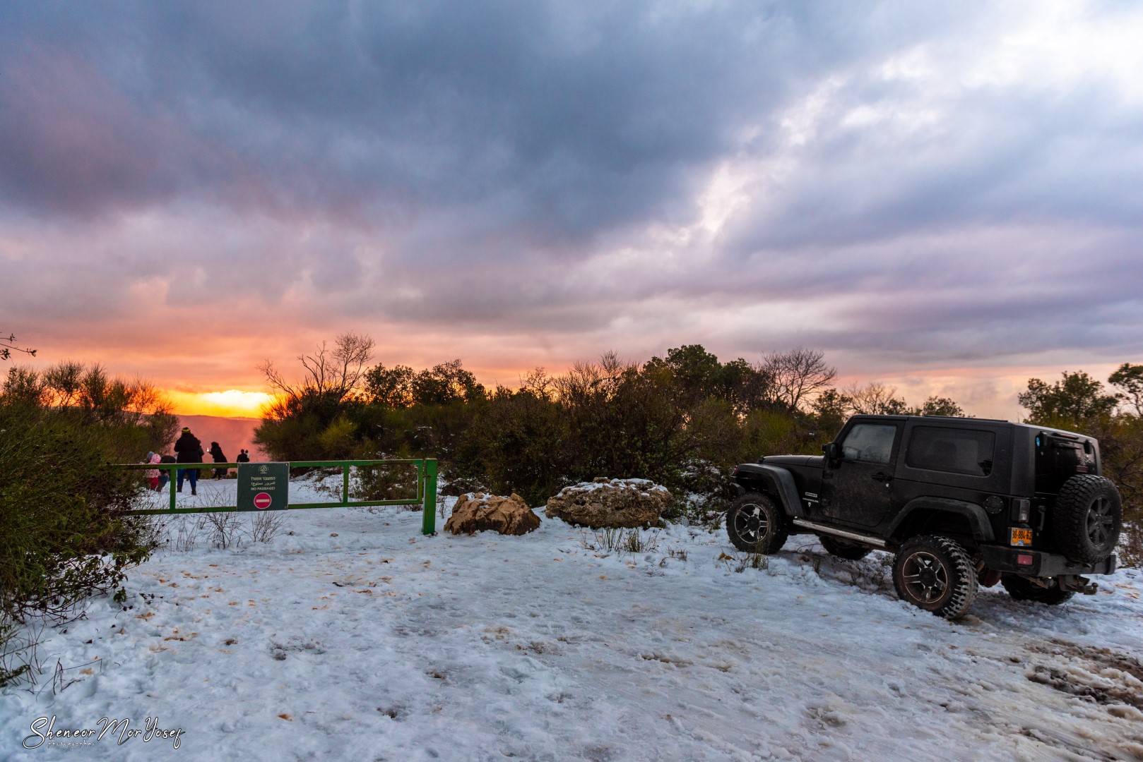 SMY_3514 (גדול).jpg