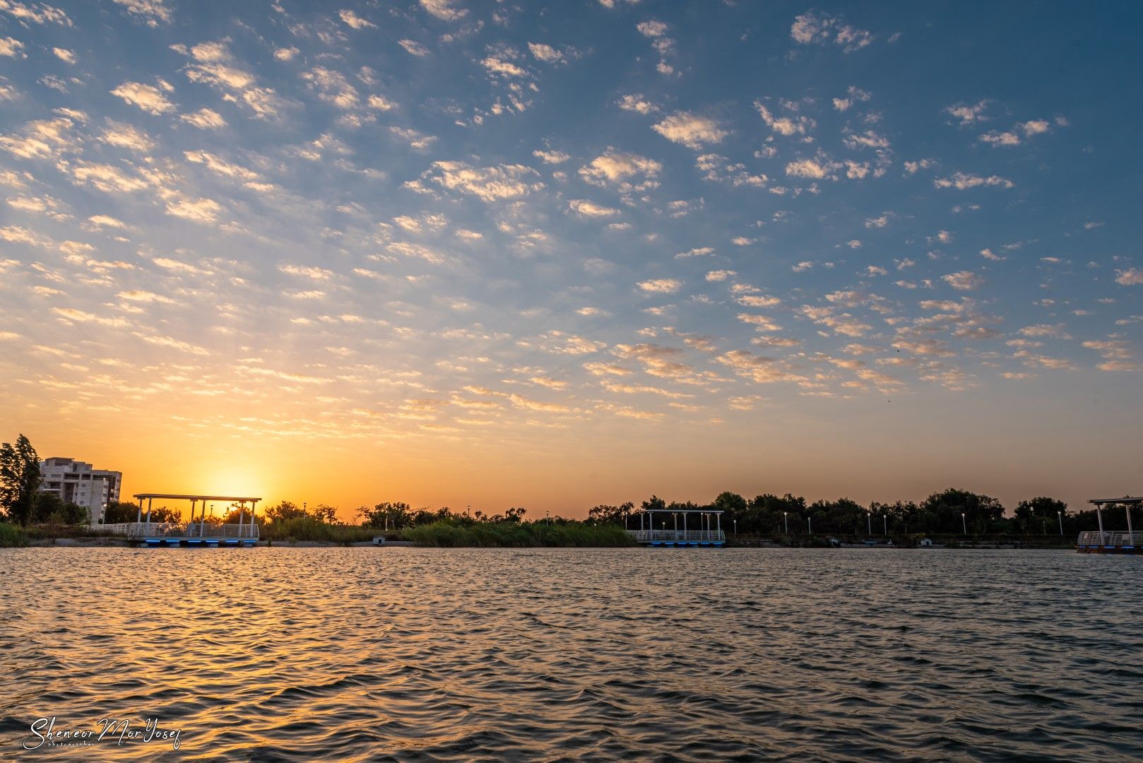 SMY_6085 (גדול).jpg